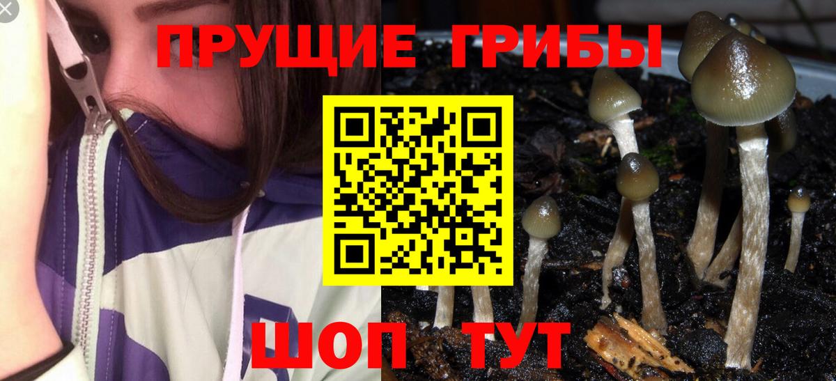Кубинка  Псилоцибиновые грибы GOLDEN TEACHER  Вход с VPN 