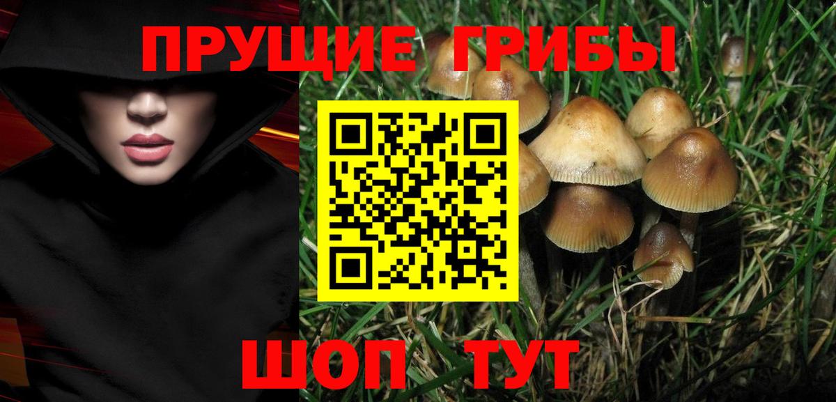АМФЕТАМИН Кубинка