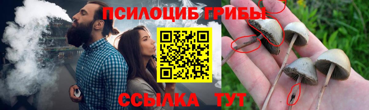 Псилоцибиновые грибы GOLDEN TEACHER Кубинка